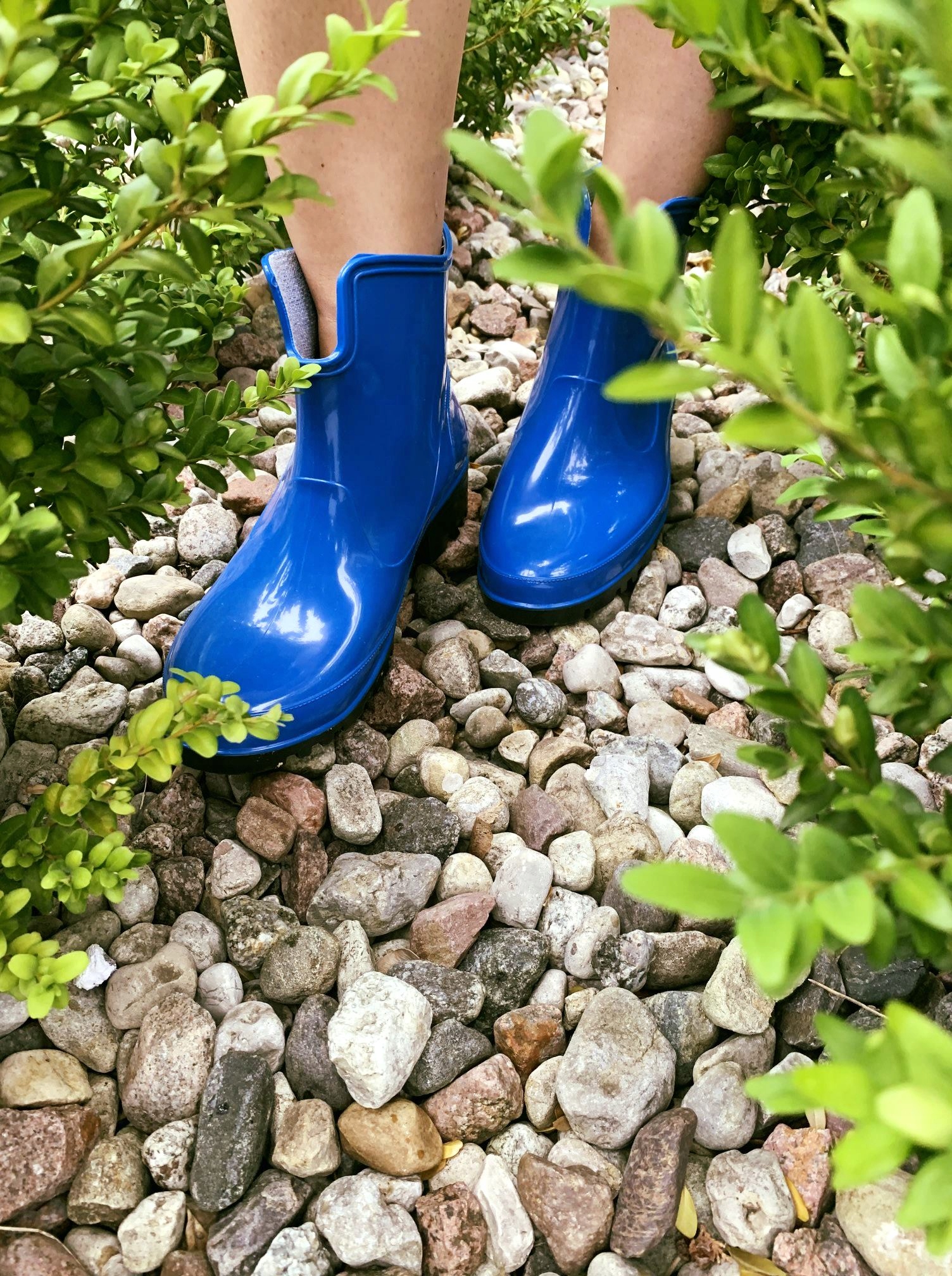 Kalosze Damskie Botki Gumowce Niskie Lemigo Elke EAN (GTIN) 5902693432722