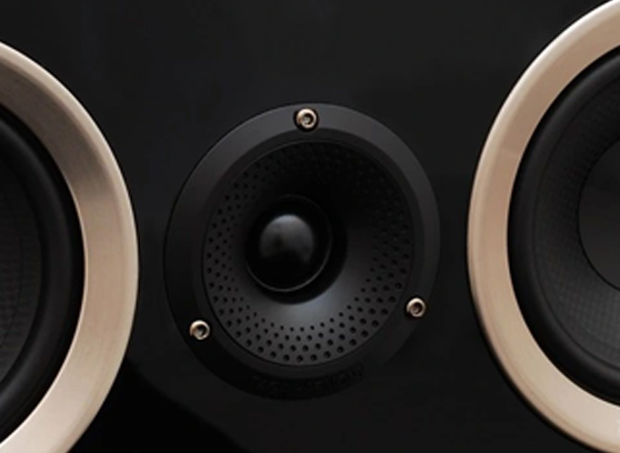 GŁOŚNIK CENTRALNY DO KINA TAGA HARMONY TAV-616C Model TAV-616C