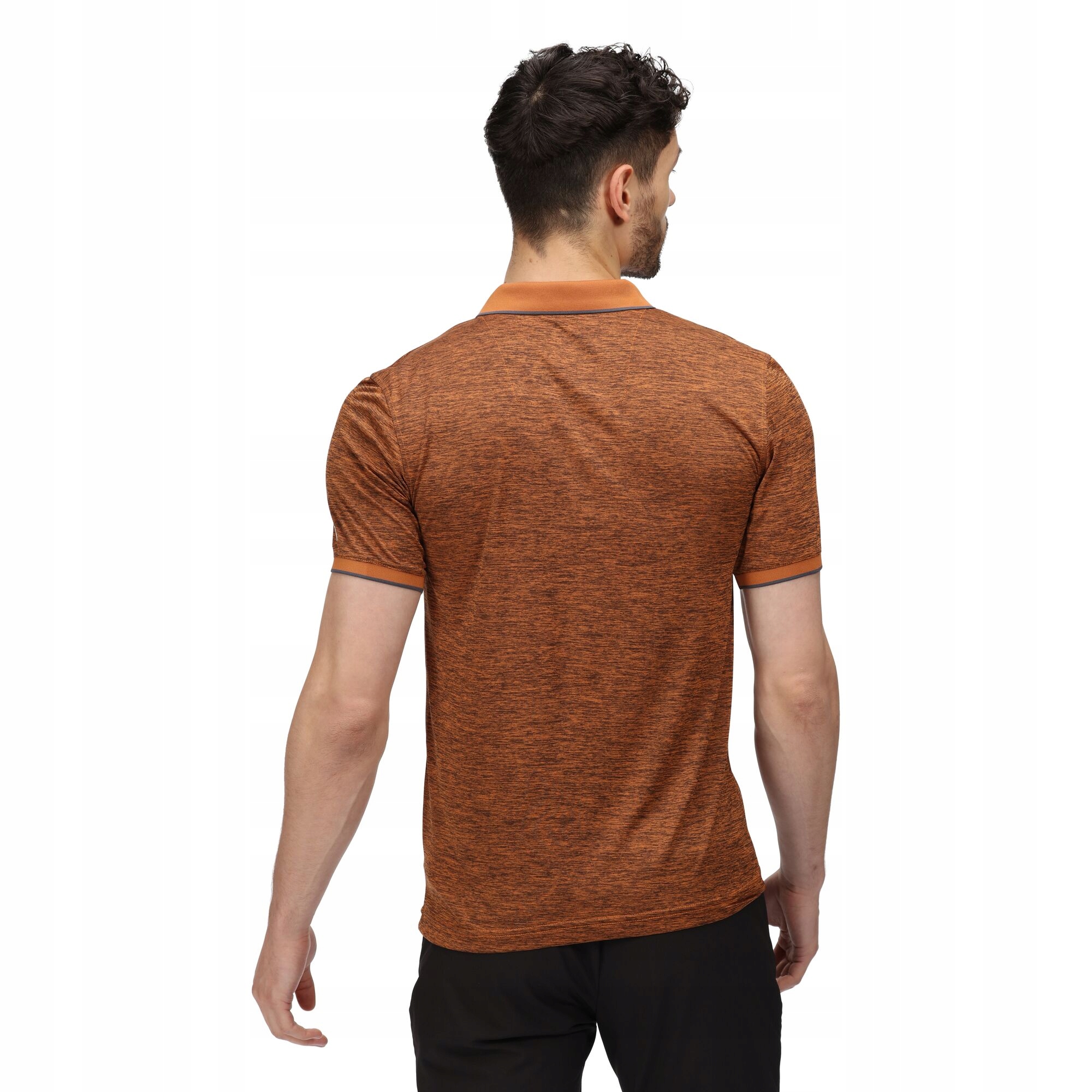 Męska koszulka polo Remex II Marka Regatta