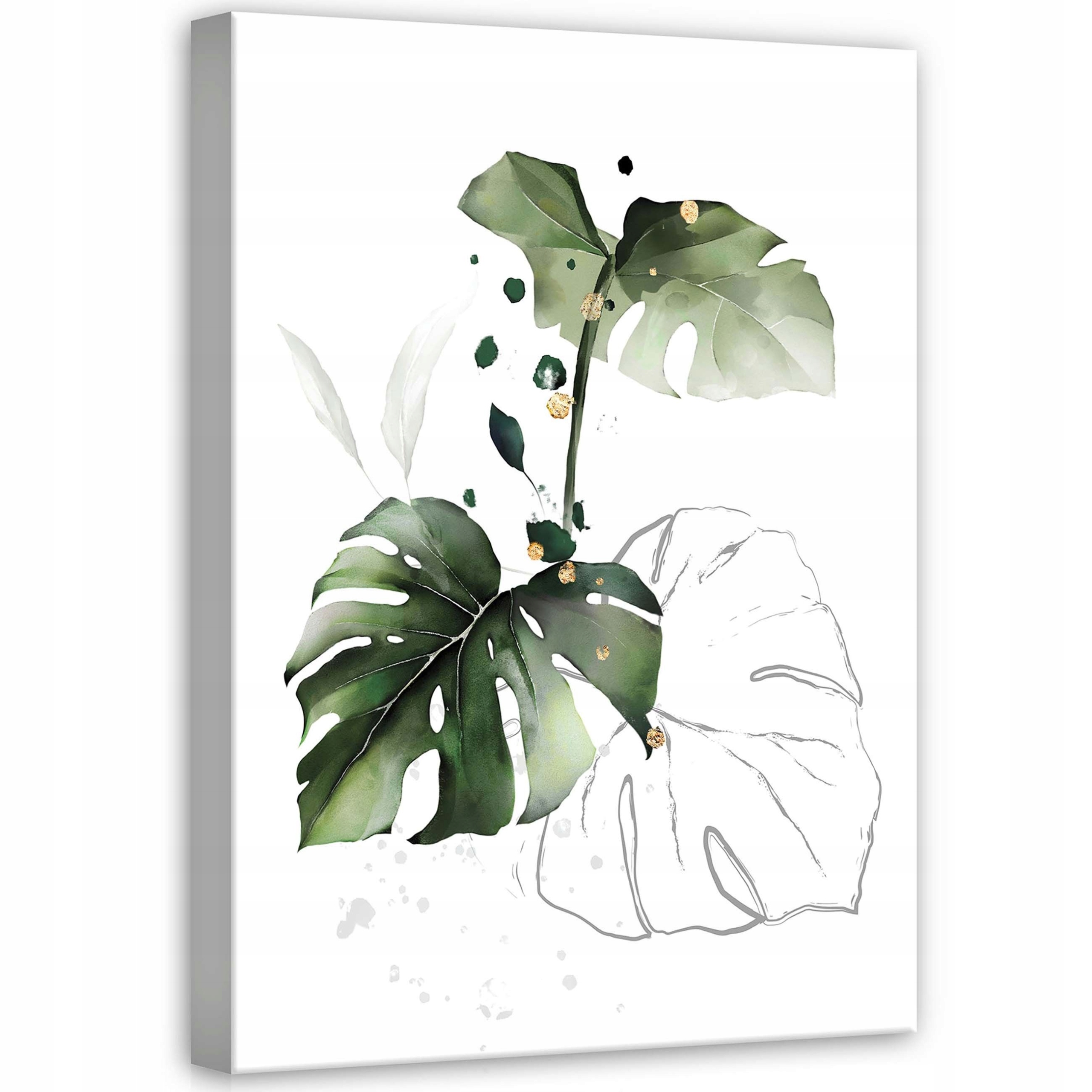 Obraz 50x70 Monstera listy zeleň botanika akvarel minimalismus abstrakce
