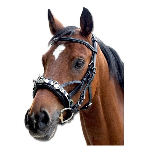 Kawecan skórzany Waldhausen black Cob