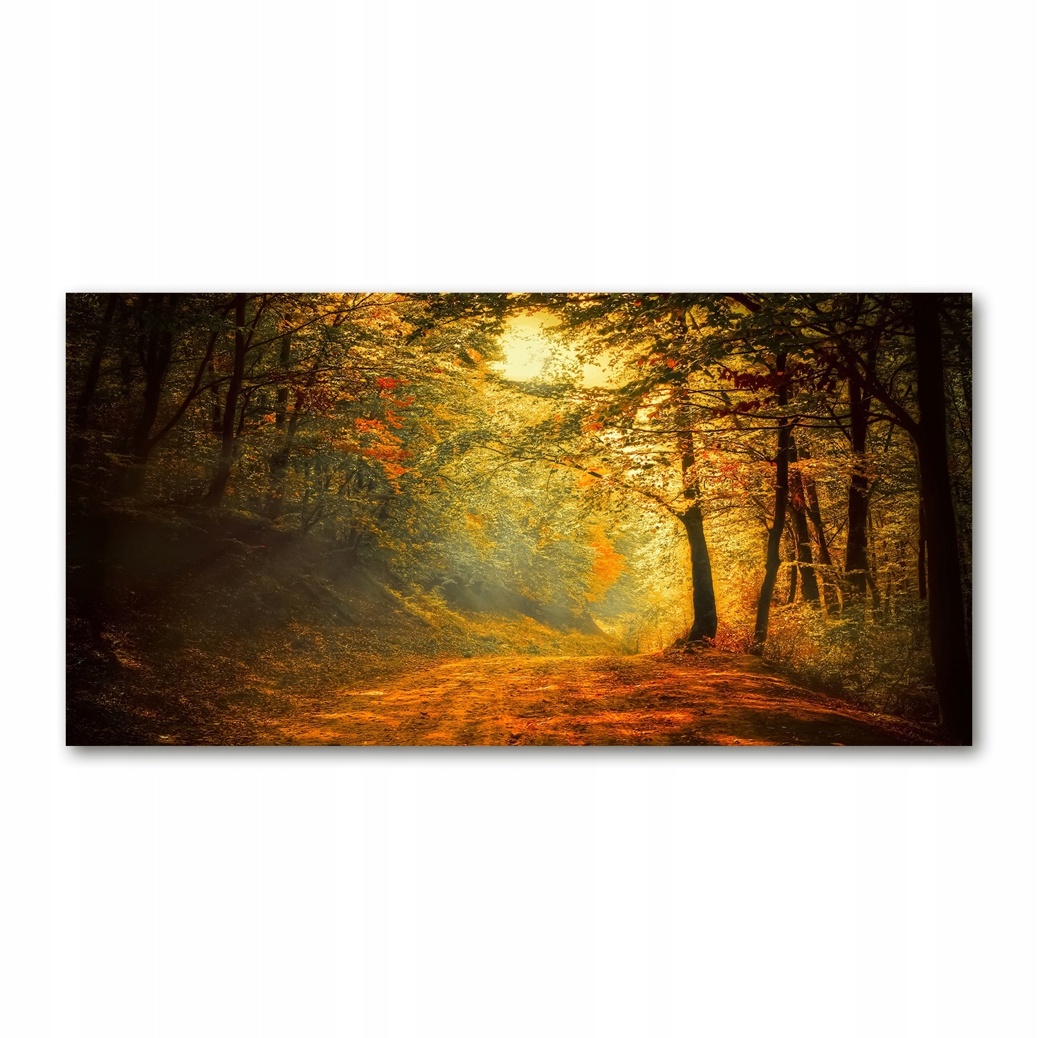 

Foto obraz akryl zdjęcie Las jesienią 120X60 cm