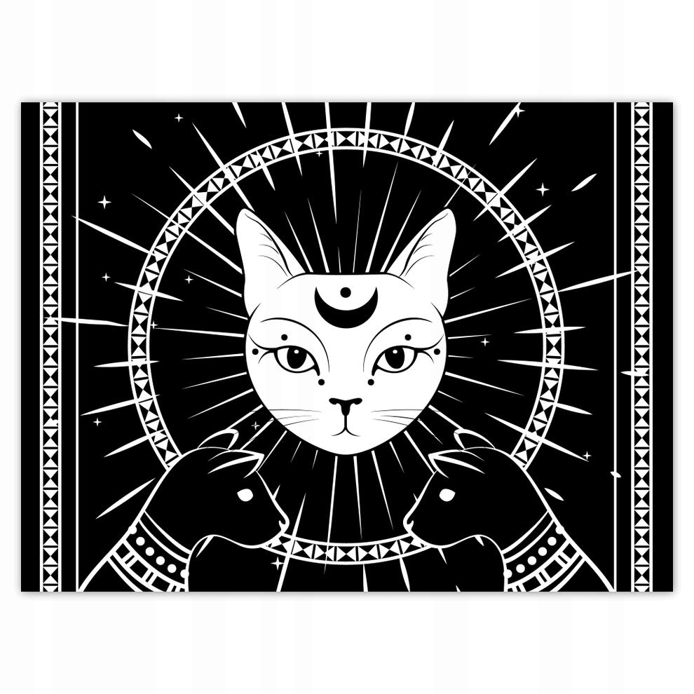 

Plakat 40x30 Kot Kotek Koty Kicia
