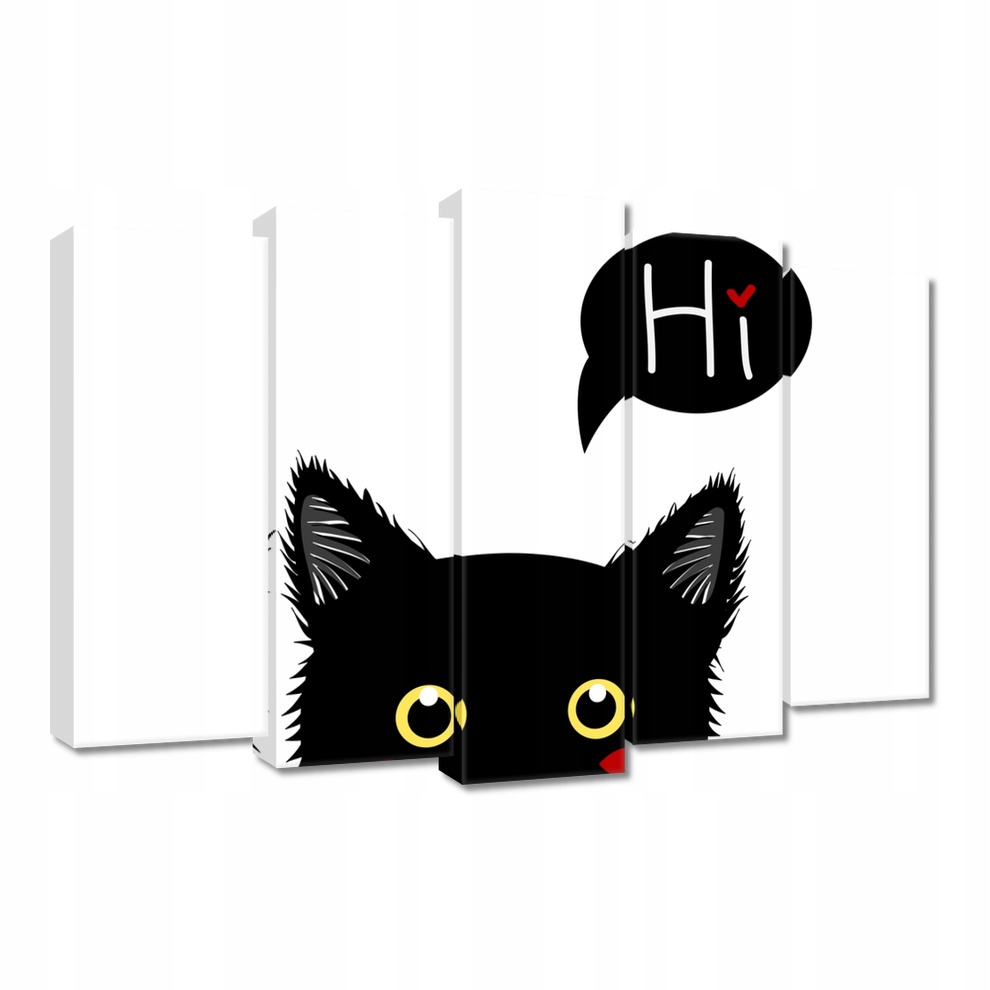 

Obrazy 70x50 Kot Kotek Koty Kicia