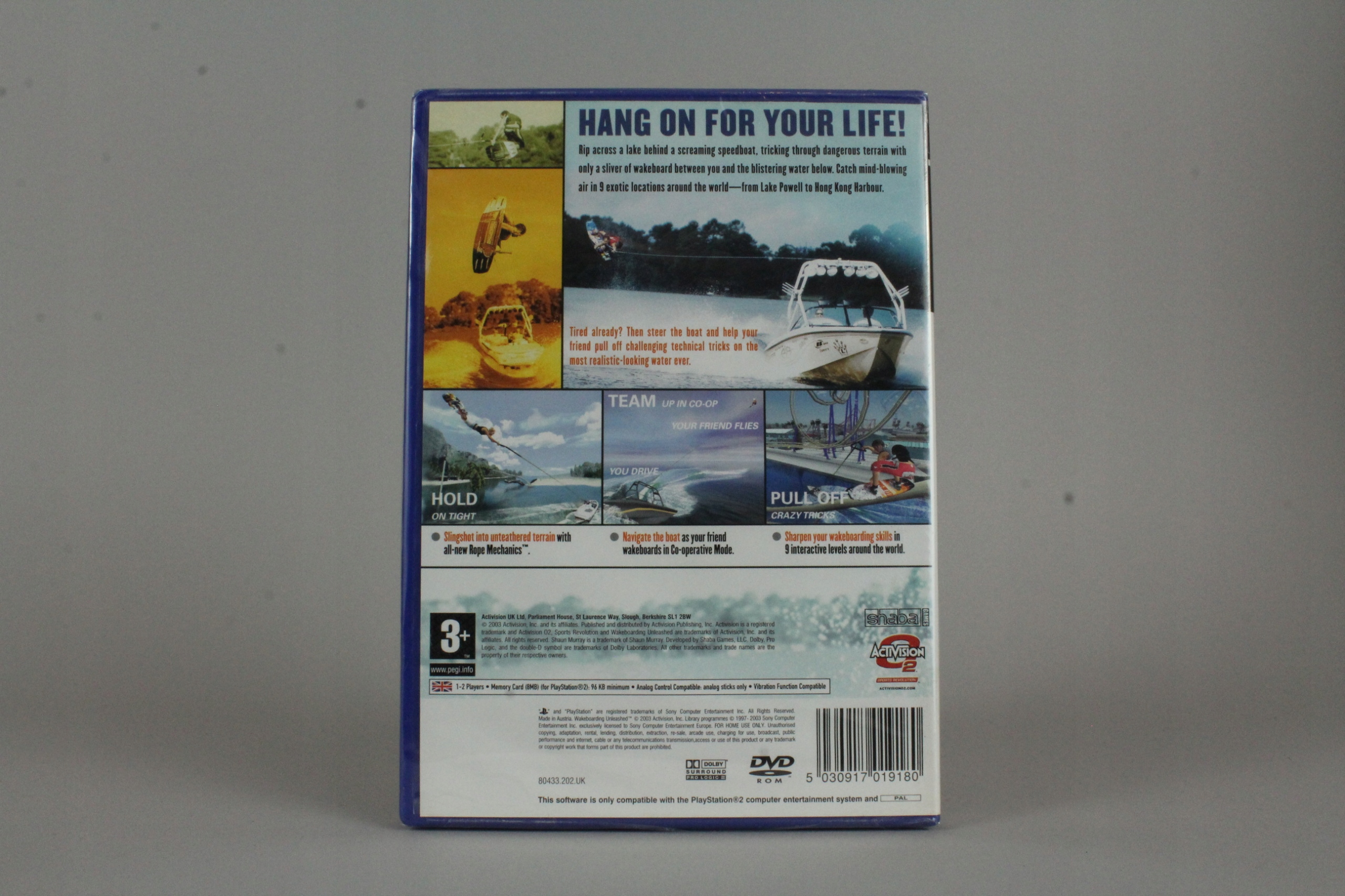 WAKEBOARDING UNLEASHED PS2 Tematyka gry akcji