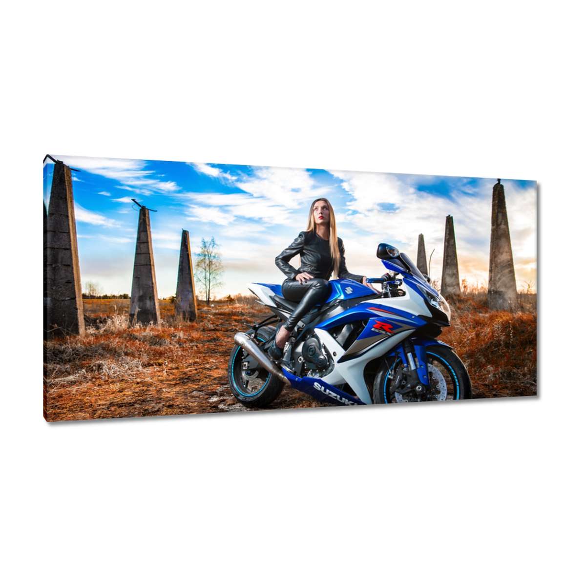 Obrazy 115x55 Dívka na závodníku Motor