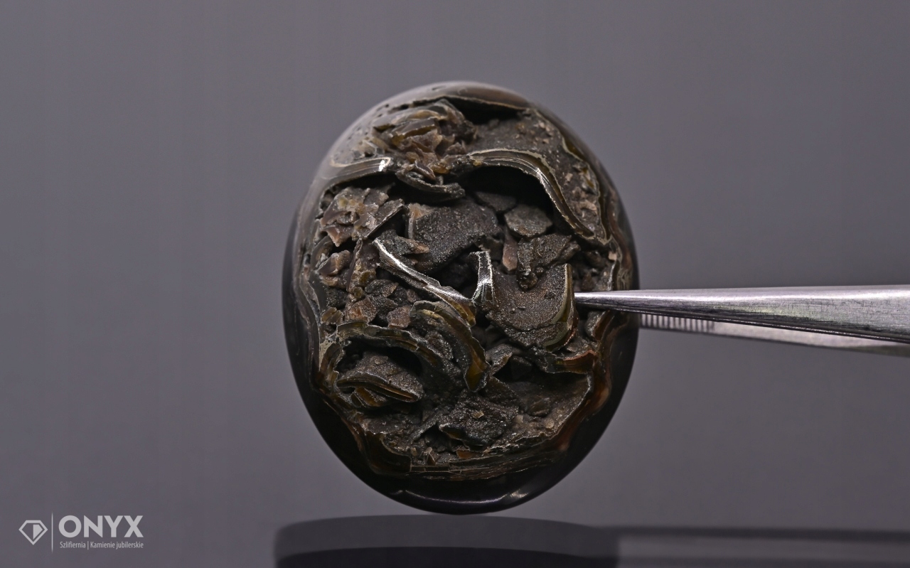 Amonit spiritizovaný ovál 40x32 mm