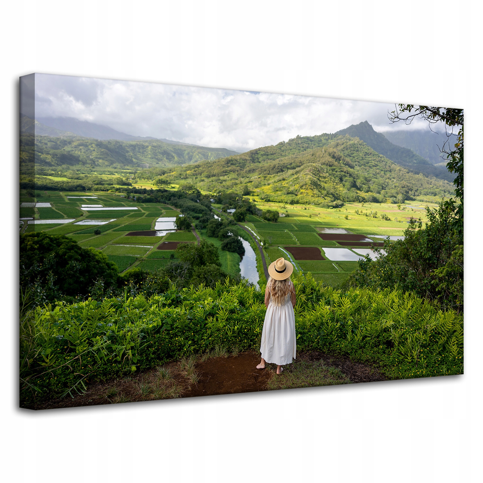 Obraz Canvas Příroda Žena pohled na hory 80x50 cm