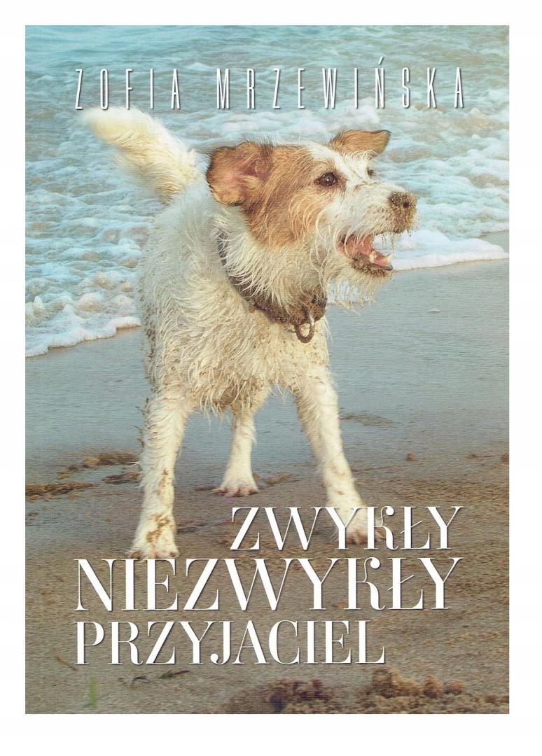 

Zwykły niezwykły przyjaciel