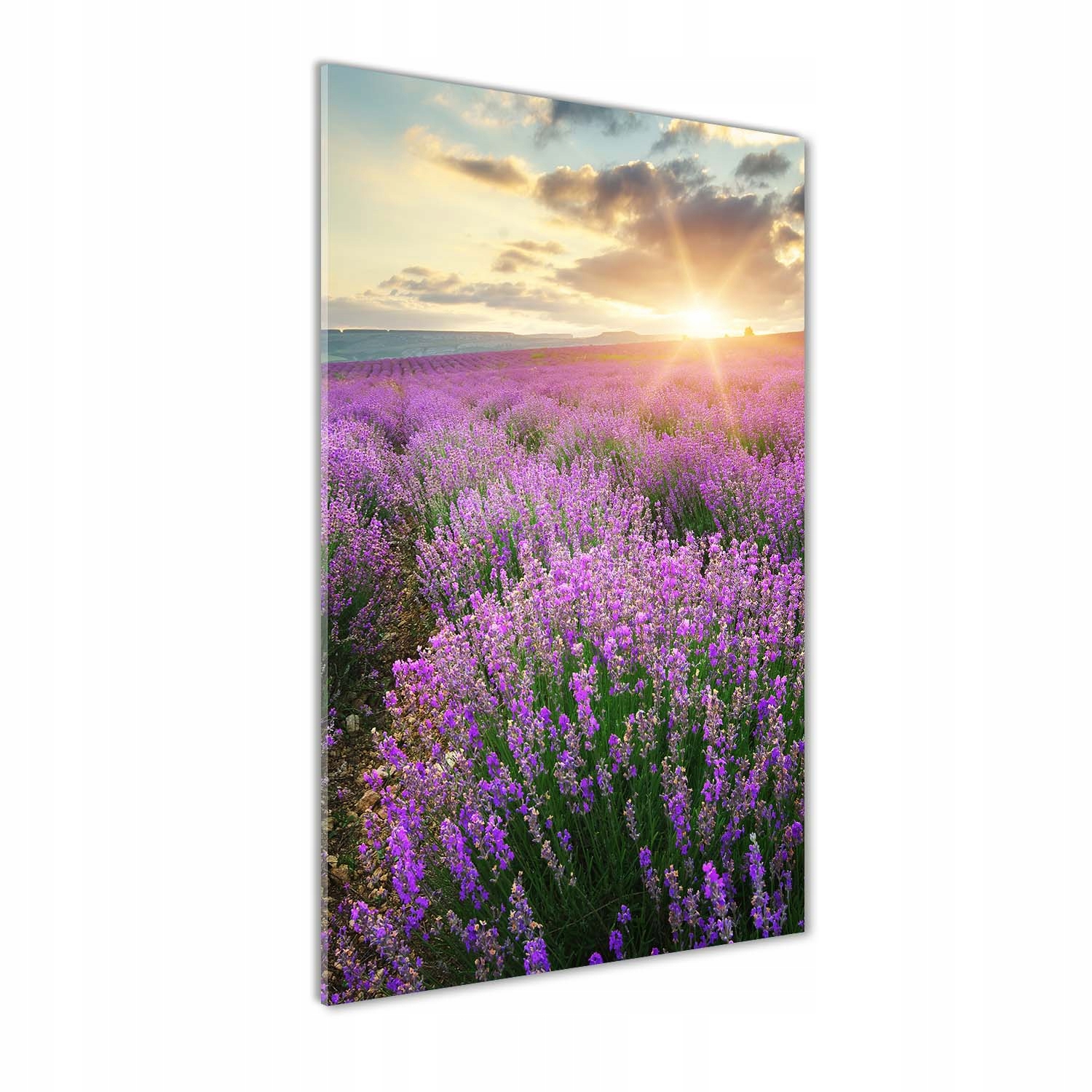 

Nowoczesny fotoobraz akrylowy Pole lawendy 70x140