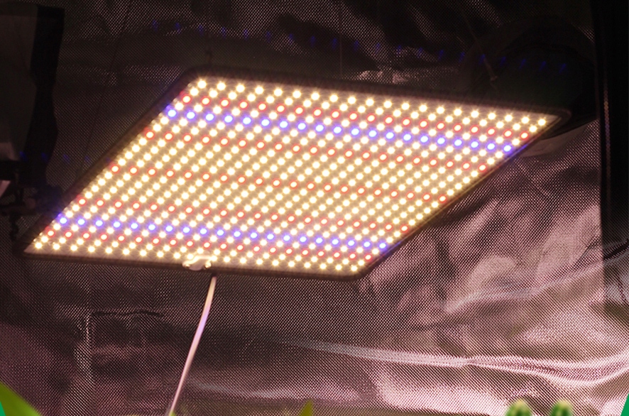 PANEL LAMPA WISZĄCA DO WZROSTU UPRAWY ROŚLIN FULL SPECTRUM 50W 500 LED Kod producenta 500 LED