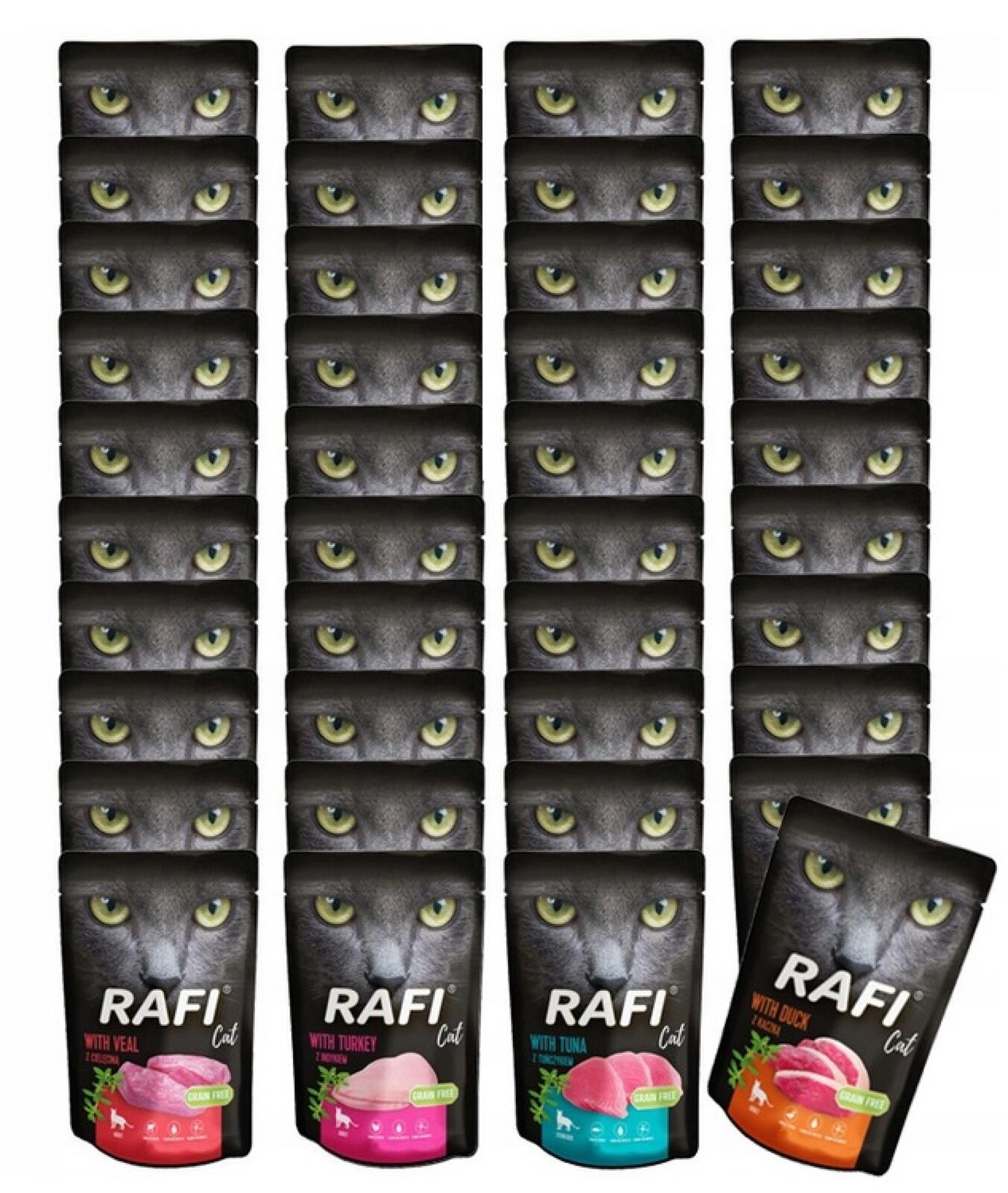 Dolina Noteci Rafi Cat 40x100g Mix smaków saszetki .