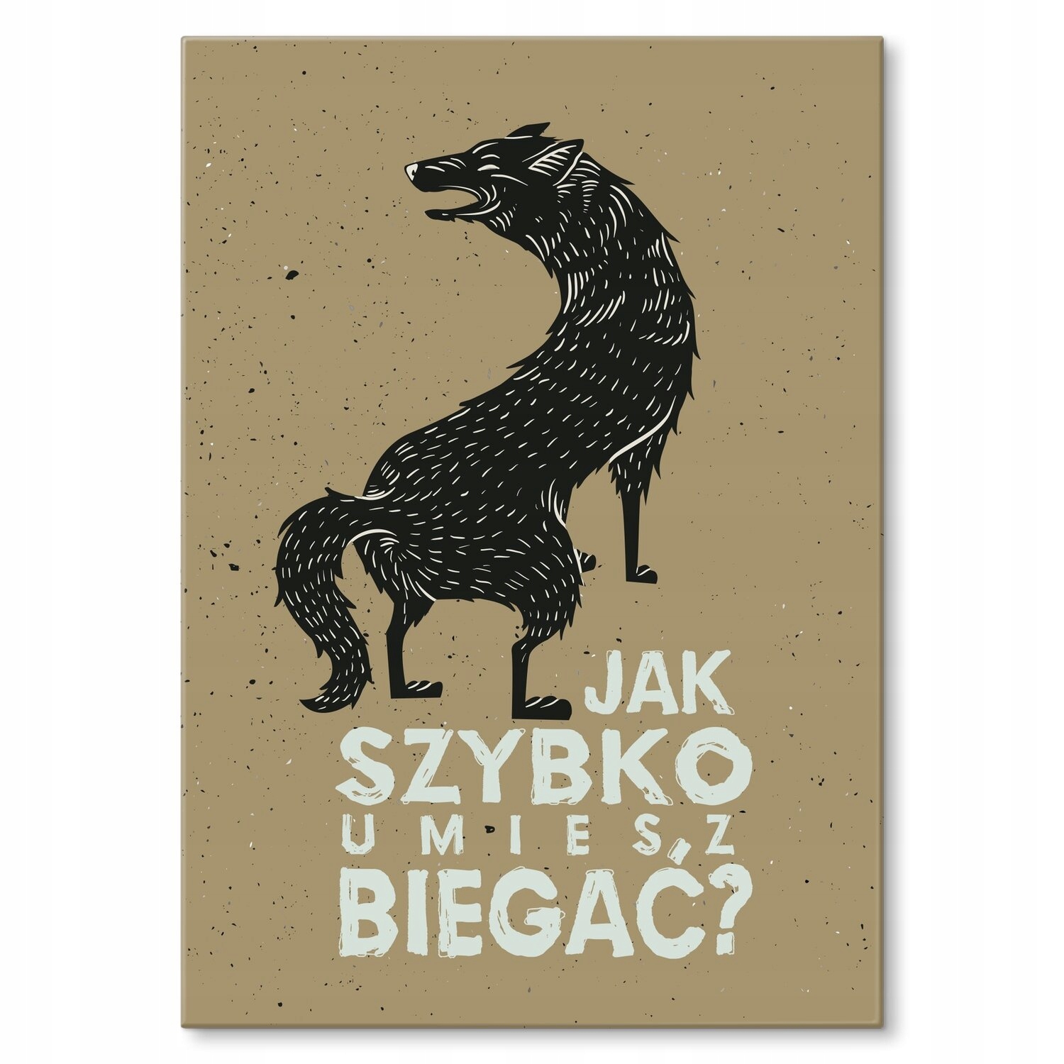 Kovový plakát, jak rychle běháte, Dárek 30 x 42 cm