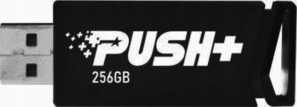 Pendrive Patriot Push+ PSF256GPSHB32U 256 Gb