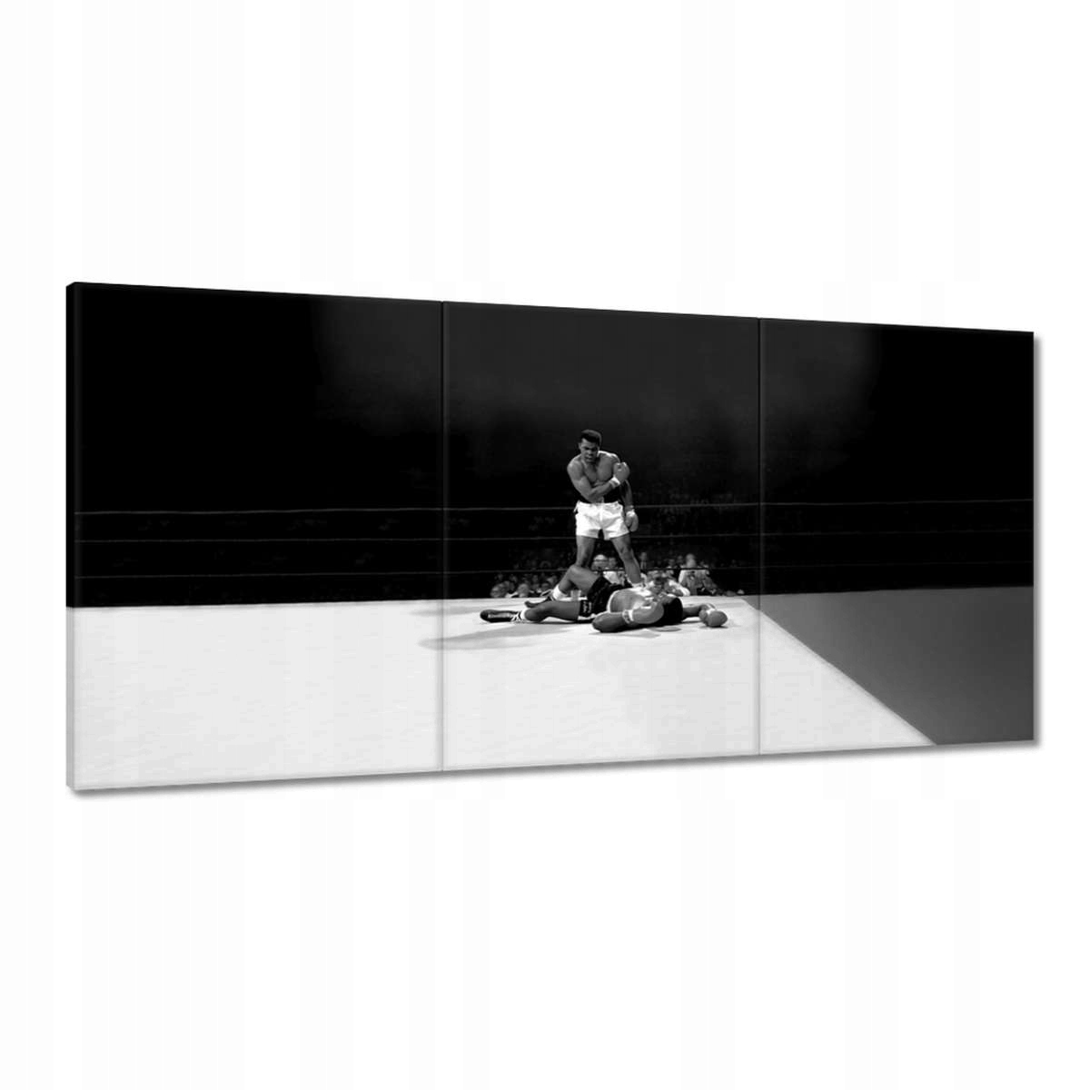 Obrazy 180x90 Muhammad Ali Boxer Boj