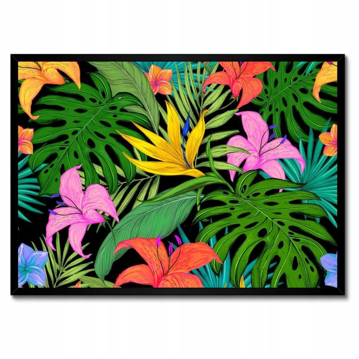 Plakáty v rámu 70x50 Listy Monstery Listy