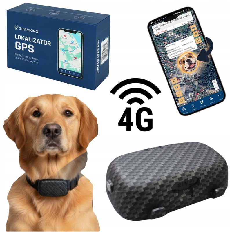 Lokalizator Gps 4G Bez Abonamentu Dla Psa Kota Uchwyt Na Obrożę Aplikacja