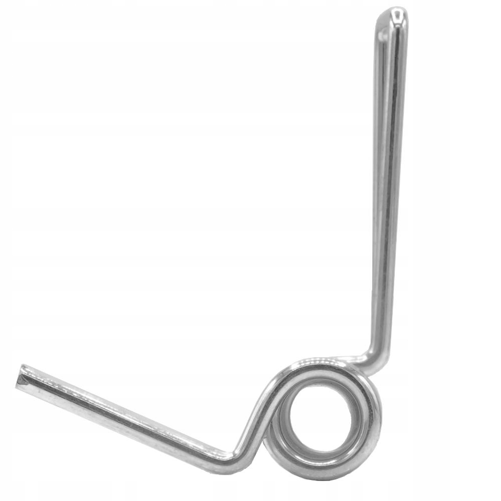 SPRĘŻYNA KLAPY WYLOTU LS50 LS46 LS42 LP50 LP46 LP4 Marka NAC