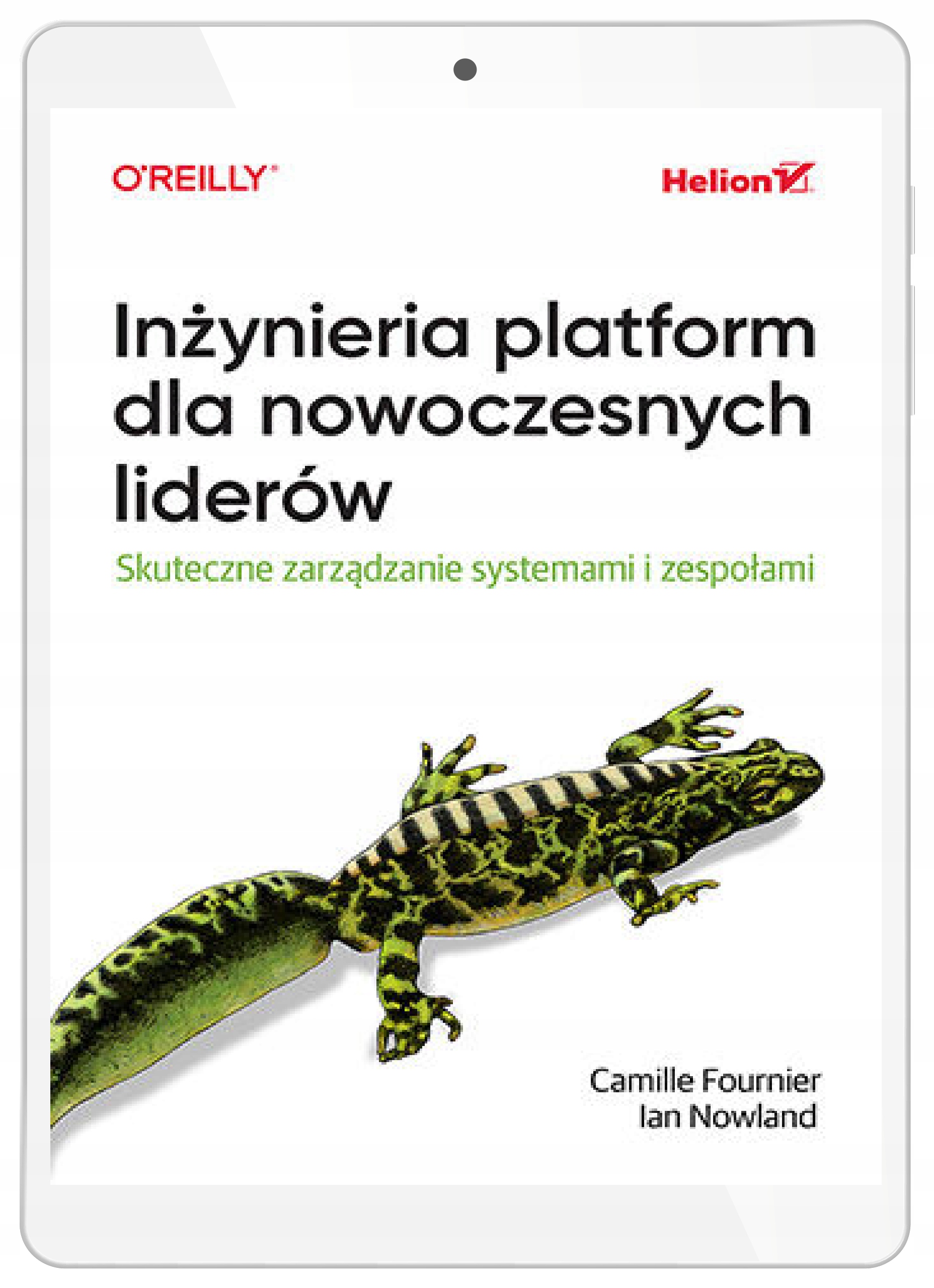 Inżynieria platform dla nowoczesnych