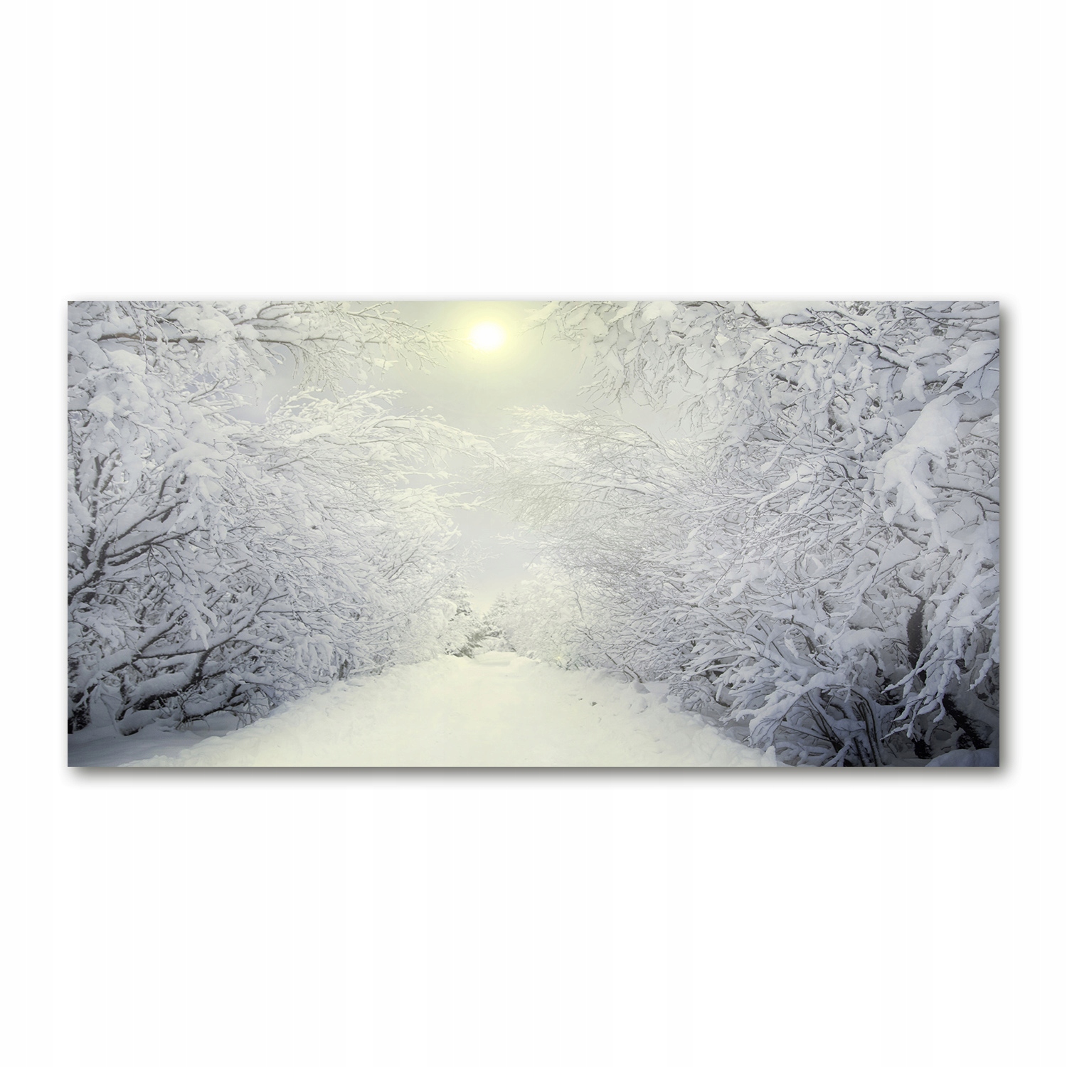 

Foto-obraz akryl Piękny las zimą zdjęcie 140x70 cm