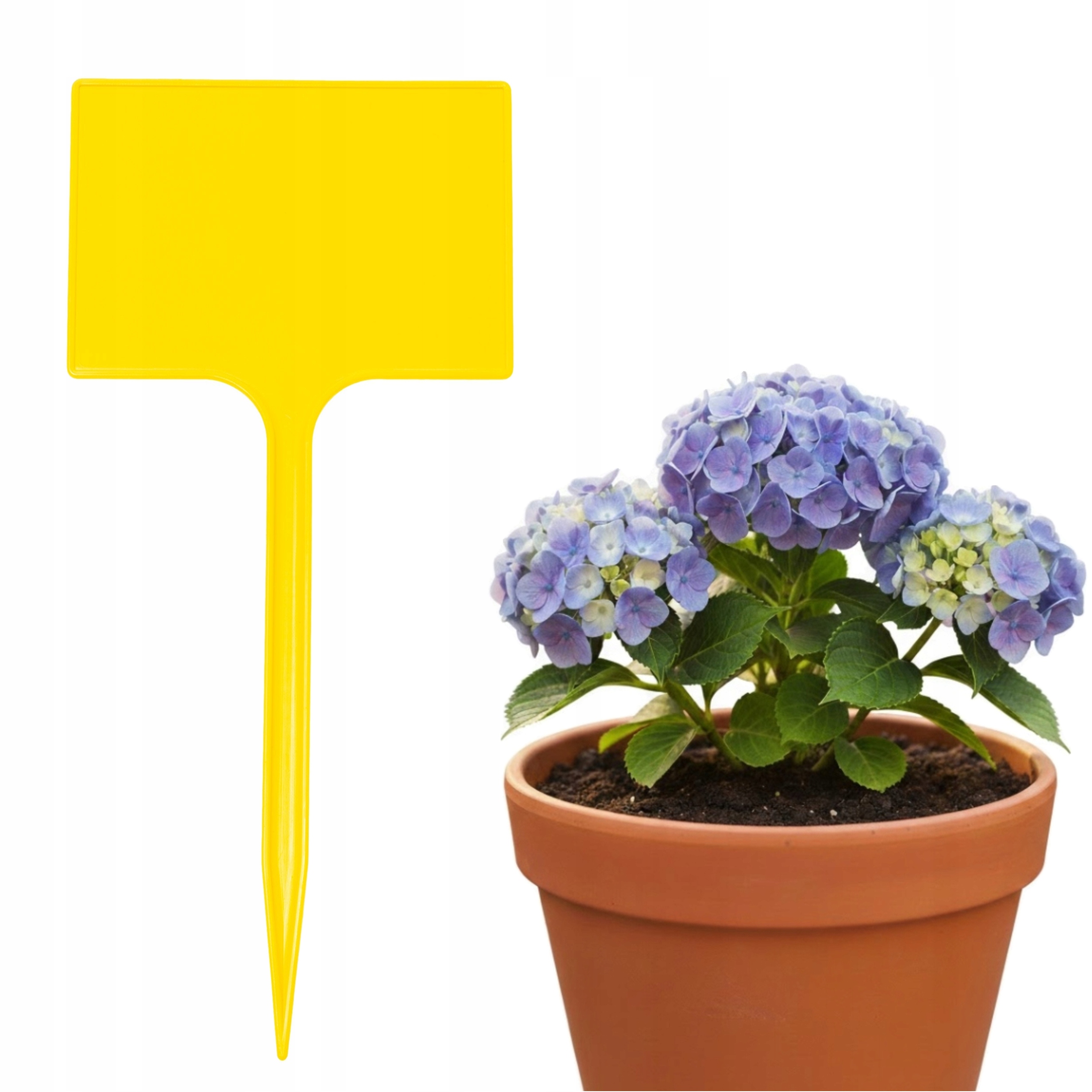 Etykiety Tabliczki do ROŚLIN 7x10,5cm KWIATY WARZYW do OPISU Żółta