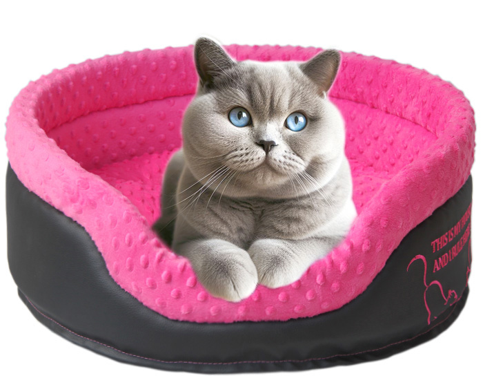 Levně Kotec , pelíšek pelíšek pro kočky , britská krátkosrstá kočka, 65 cm