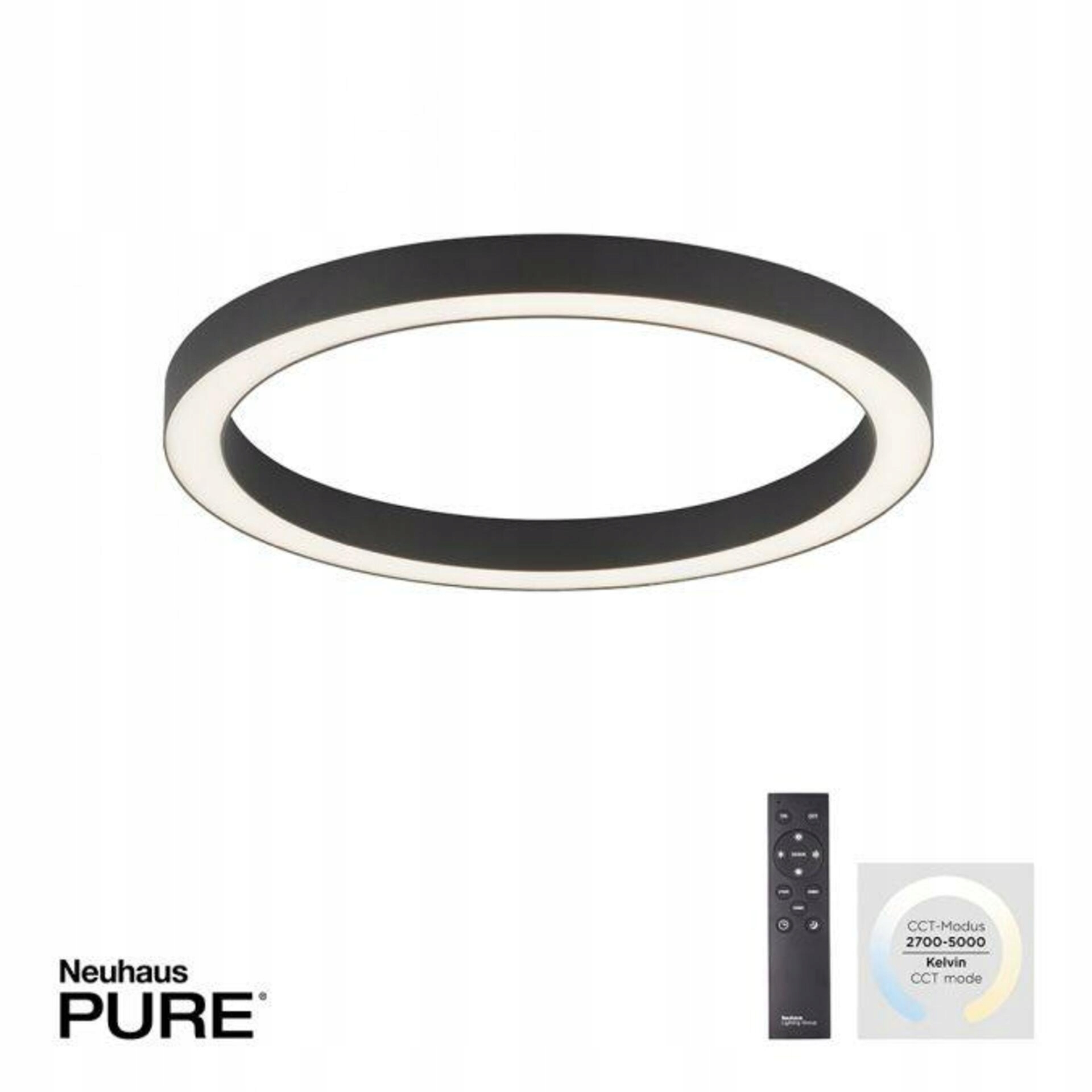 Paul Neuhaus Pure-lines Led stropné svietidlo 50x50cm Cct antracit stmievateľ