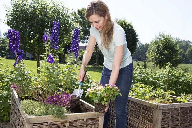 Gardena Łopatka HG-08960-20 4078500023528 Rodzaj łopatka