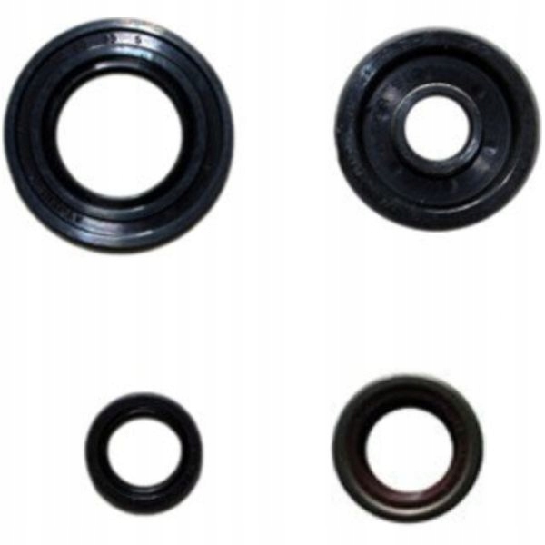 sada silných tesniacich prvkov Rieju Marathon 125 LC 09-13 Nová