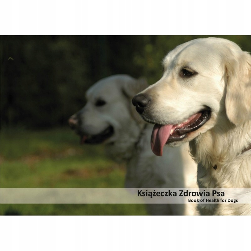 

Książeczka zdrowia psa Golden retriever
