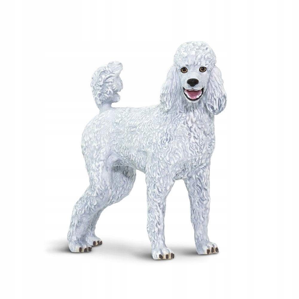 

Pies Pudel Poodle Safari Ltd. 100063