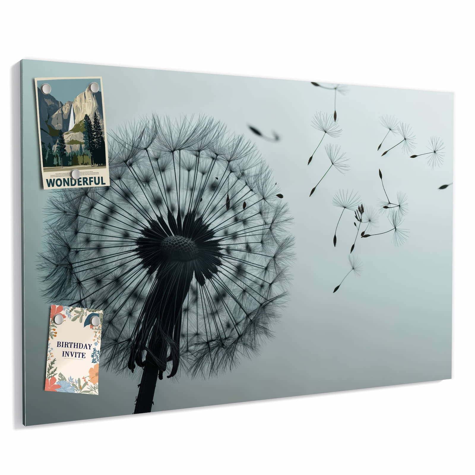 Magnetická tabule Jemné Pampeliška 60 × 40 cm