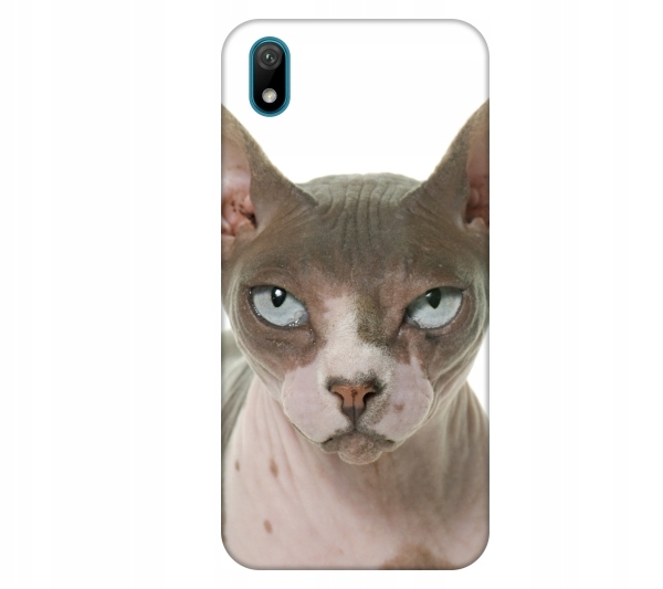 

Etui na telefon Huawei Y5 2019 Kot sfinks kotek