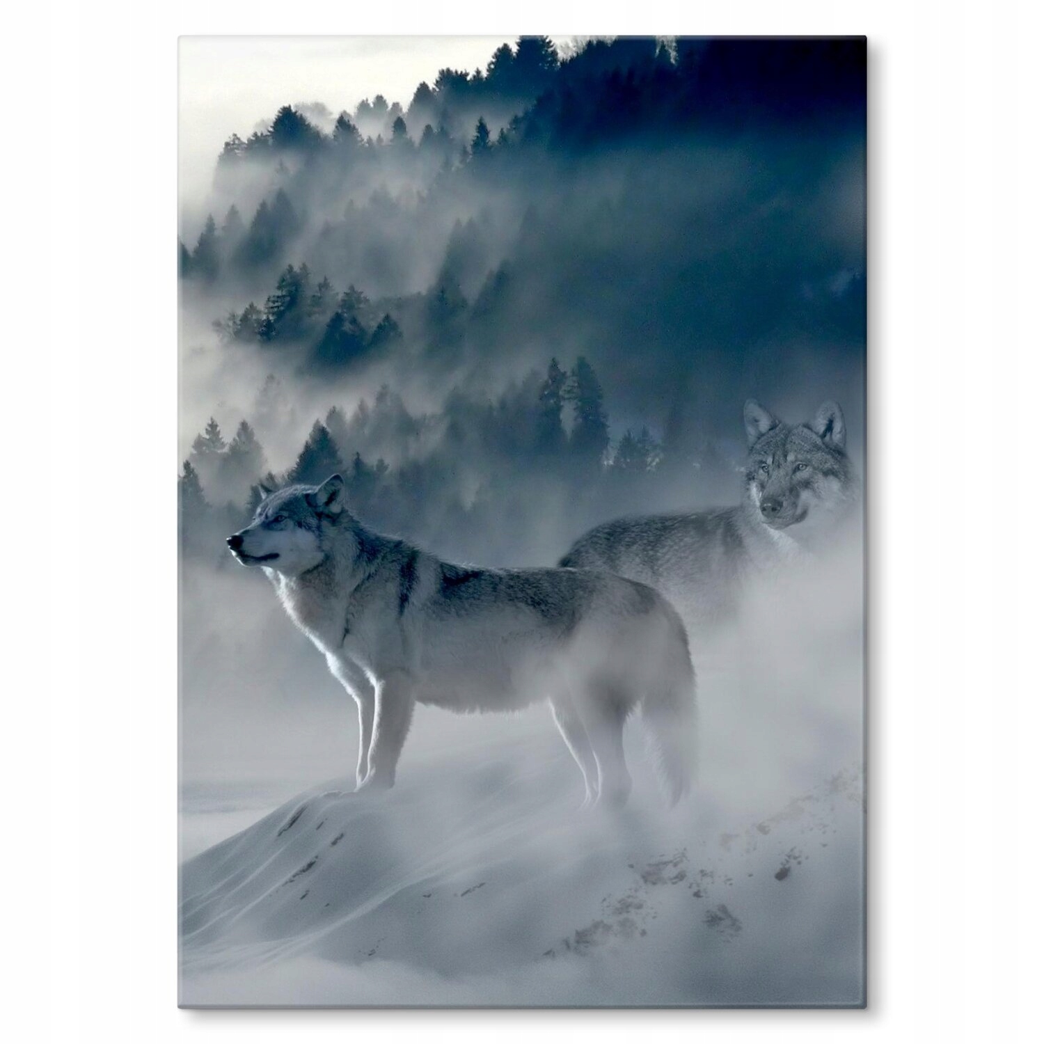Kovový plakát Vlci v mlze Dárek 30 x 42 cm