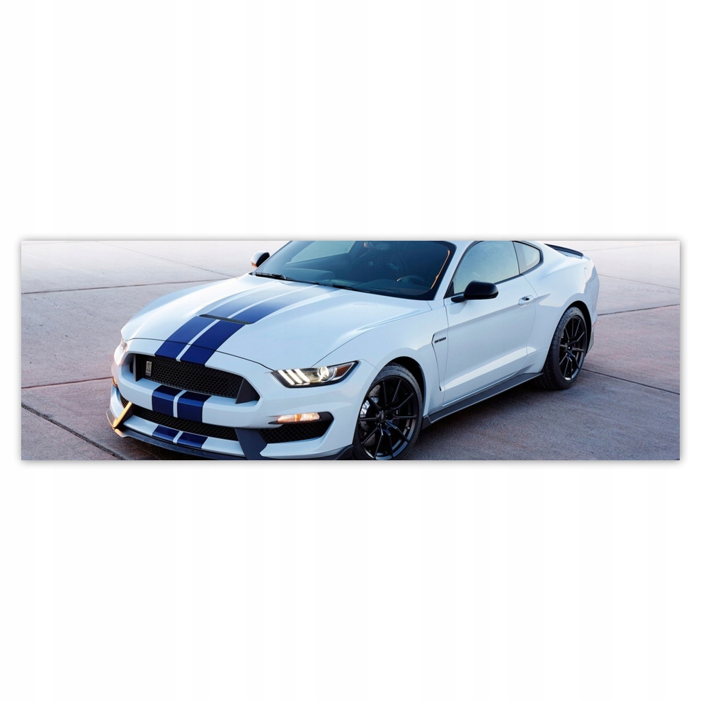 

Fototapety flizelina 312x104 Ford Mustang Shelby