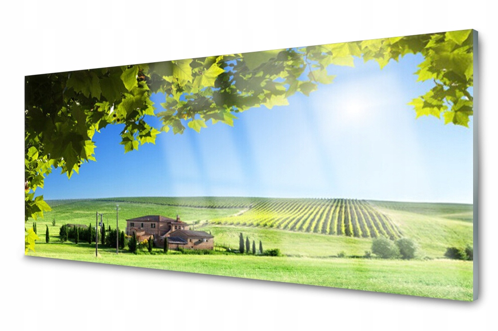 Sklenený panel do kuchyne Pole Listy 125x50