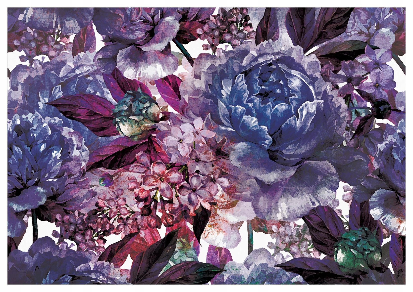 Fototapeta Pivoňky hortenzie a bez ve fialové barvě 416x290 modré lepidlo