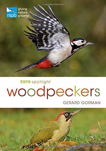 RSPB Spotlight Woodpeckers GERARD GORMAN