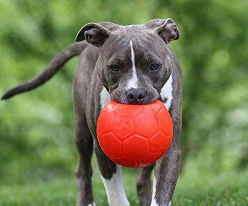 Jolly Pets Veselý Fotbalový Míč Oranžový S (15 CM)