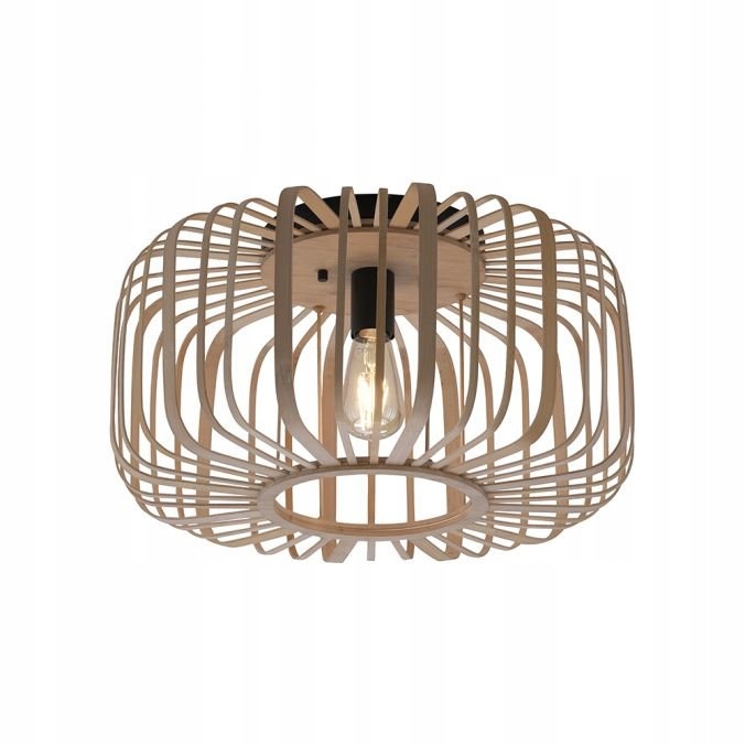 Stropné svietidlo Racoon 11413-79 Paul Neuhaus