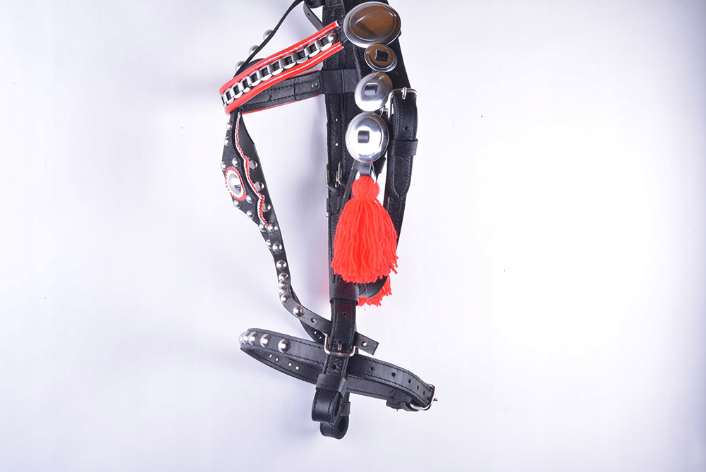 OGŁOWIE DO ZAPRZĘGU SKÓRZANE ROZ FULL I EXT FULL Rodzaj nachrapnika inny