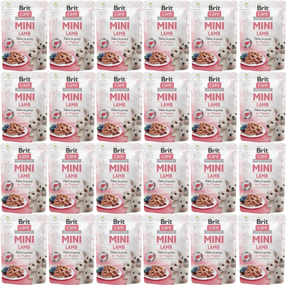 Brit Care Mini Pouch Štěňata Lamb 24x85g