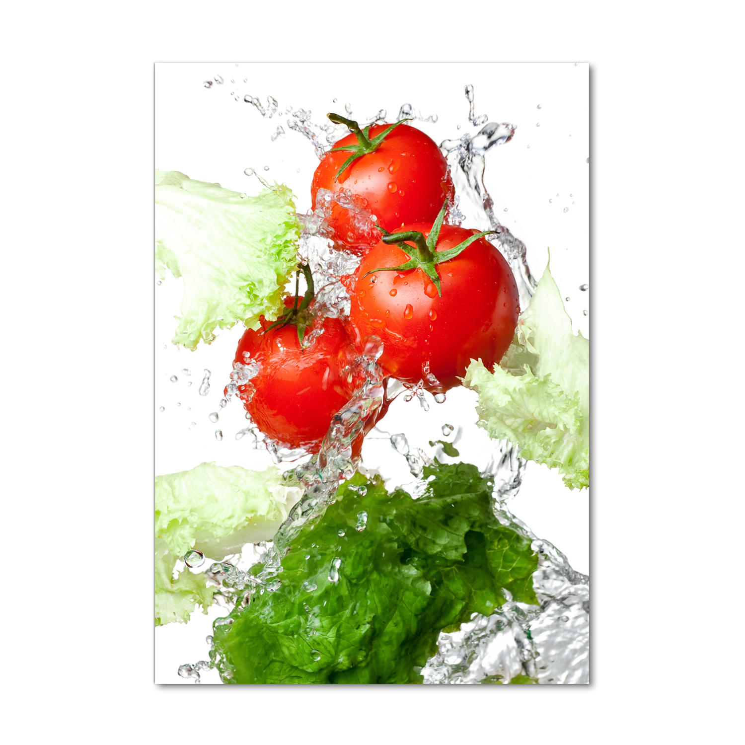 

Foto obraz akrylowy Pomidory i sałata 70x100 cm