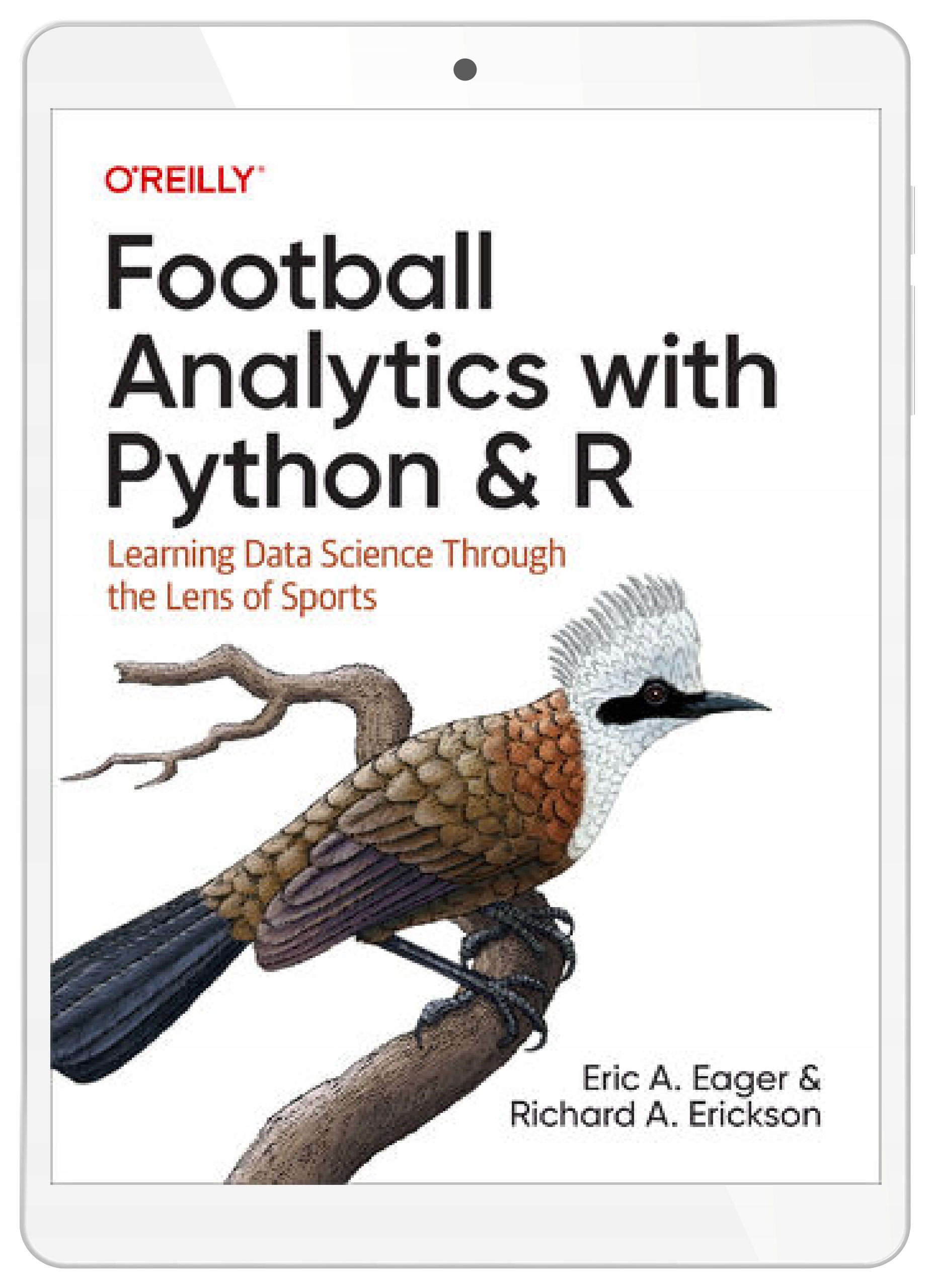 Football Analytics with Python & R