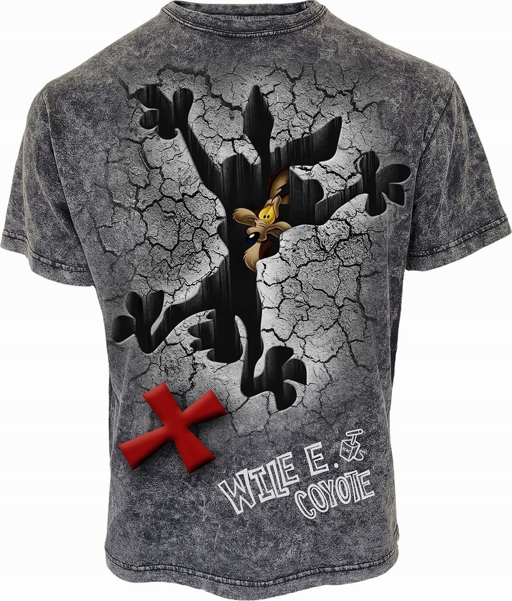 Coyote Nezvládl to Looney Tunes S