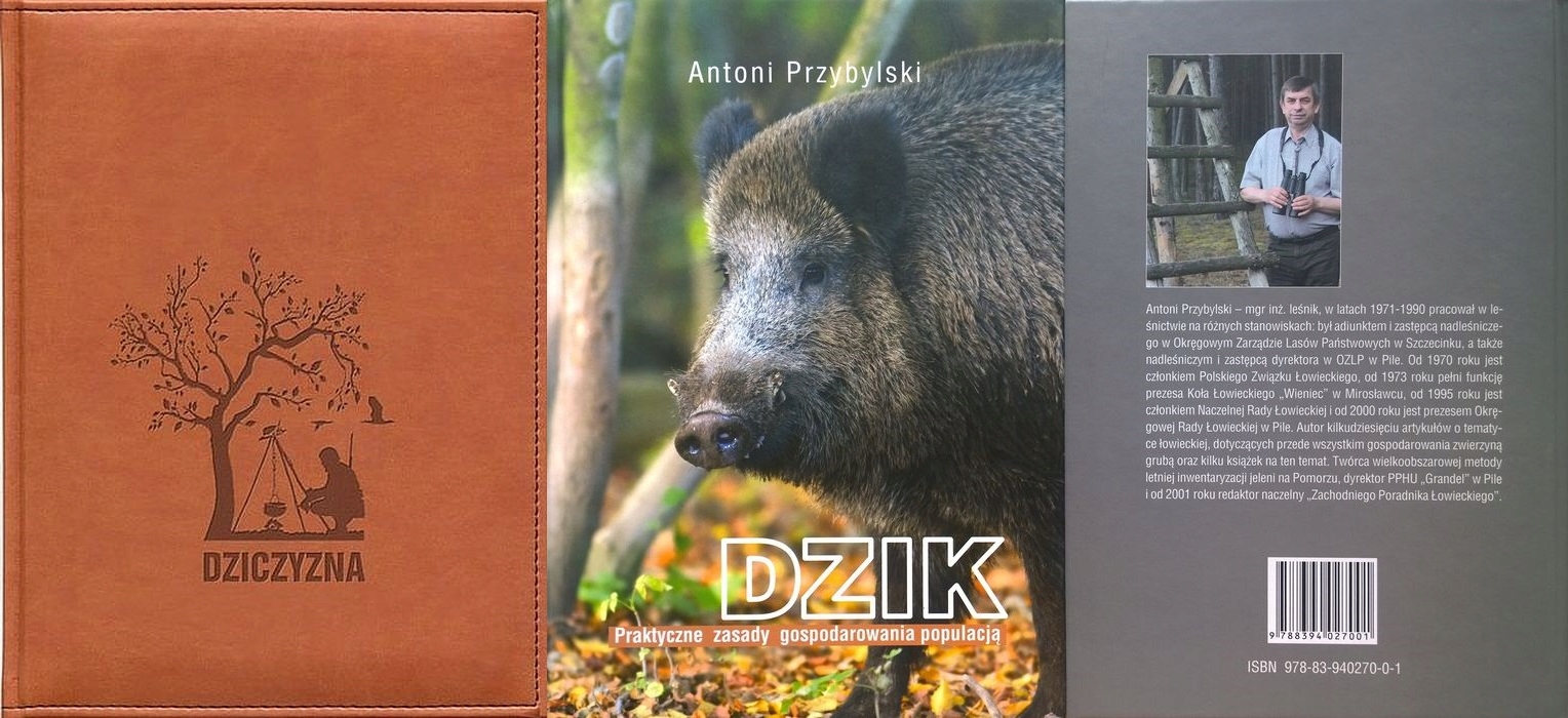 DZIK PRZYBYLSKI + DZICZYZNA