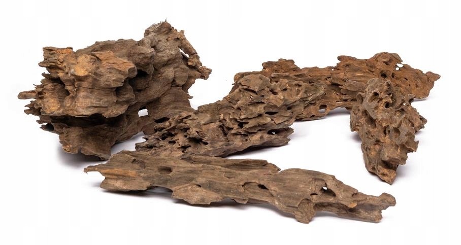 Levně Dekorativní Kořen Dragon Wood Do Akvária Přírodní Ozdoba 1 Kg