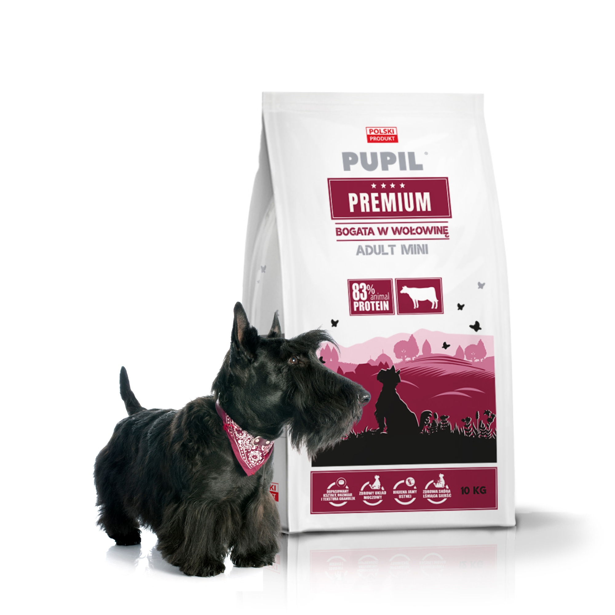 Pupil Premium Adult Mini bogata w wołowinę 10kg