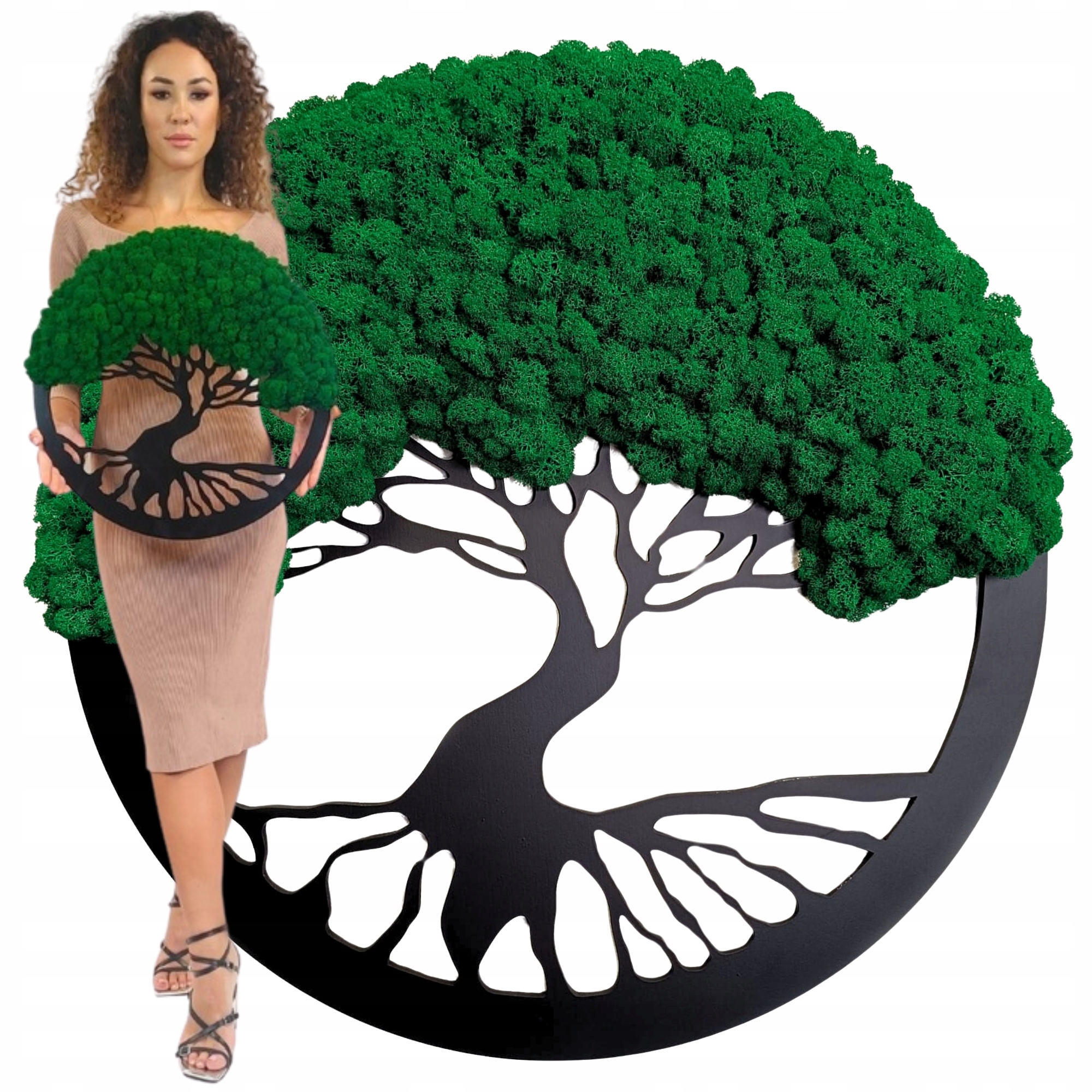 Obraz Severský Lišajník Strom Bonsai Obraz Z Machu Stromček Na Darček 50 cm