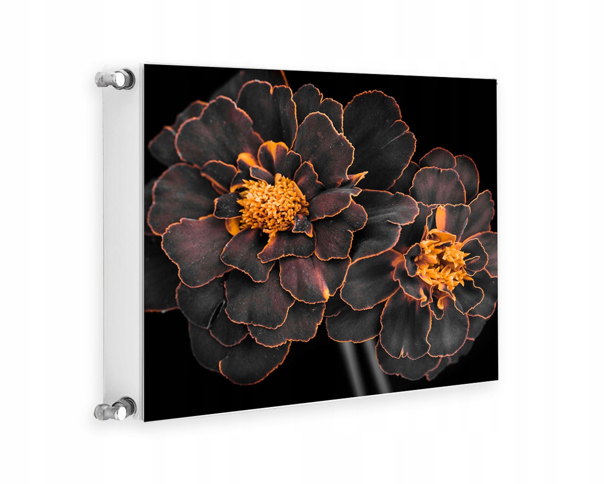 Magnetická Krytka Na Radiátor 60x60 Květiny